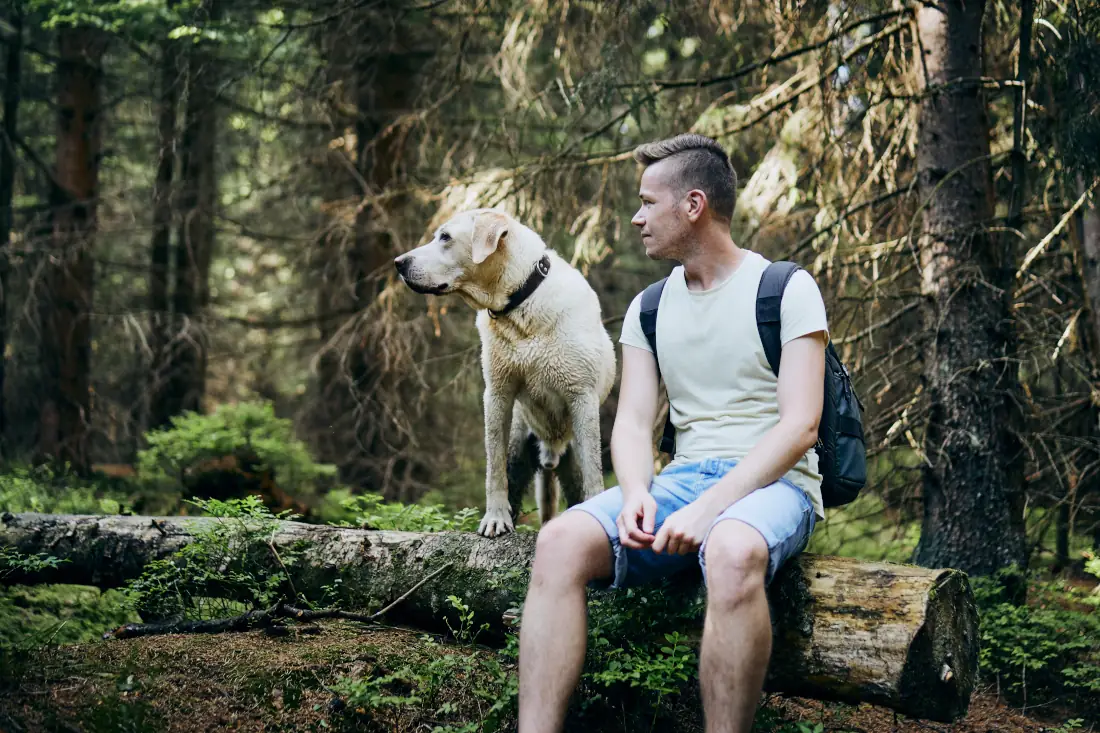 Mit dem Hund im Wald bei einer Wanderung