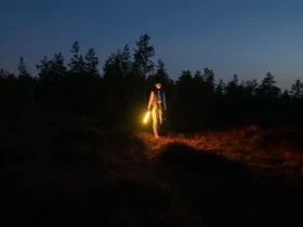 Frau bei Nacht im Wald beim Wandern