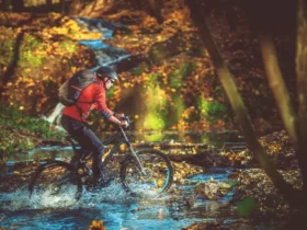 Fahrradtour im Wald mit guter Ausrüstung