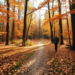 herbstwandern deutschland