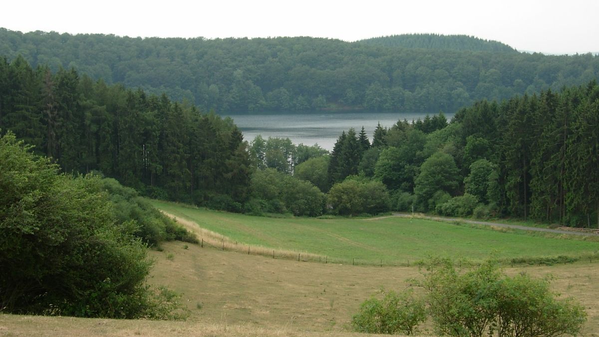 Blick über eine Wiese und Nadelwald auf die Wasserfläche des Pulvermaars in der Vulkaneifel